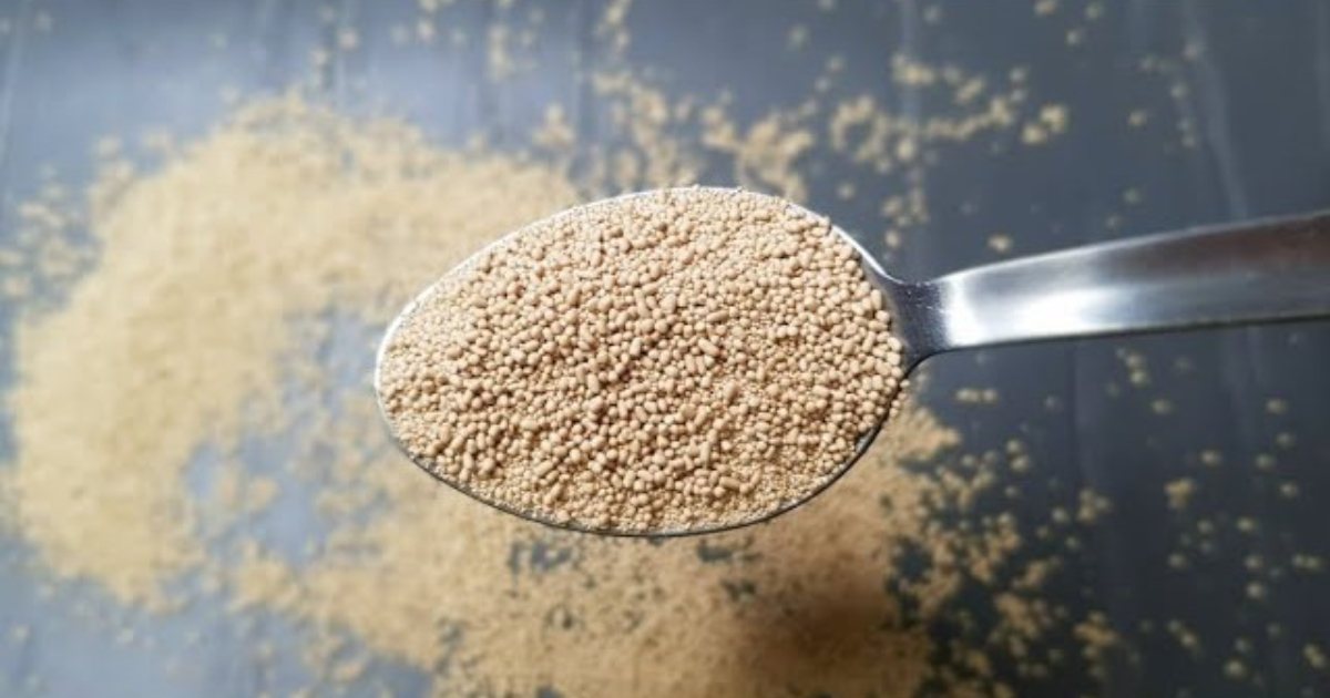 Perfect Homemade Yeast Recipe