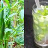 Sugar Reducing Drink