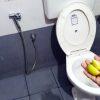 Toilet Cleaning Trick Using Lemon