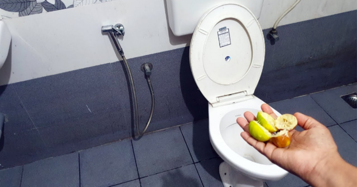 Toilet Cleaning Trick Using Lemon