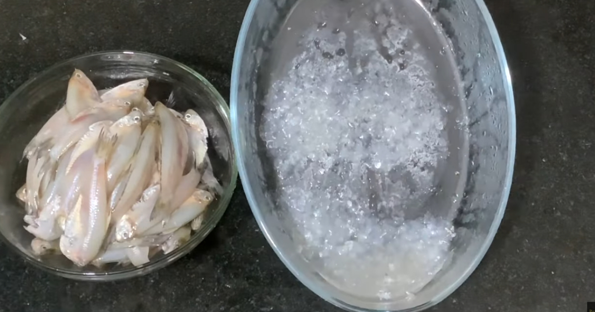 Fish Scales Removing Easy Tip