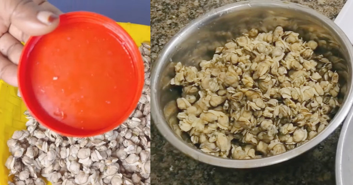 Kakka Cleaning Easy Tip