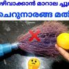 Marala Cleaning Trick Using Lemon