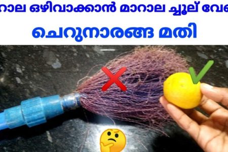 ഒരു ചെറുനാരങ്ങ മതി.!! മാറാലയും ചിലന്തി വലയും ഇനി വീട്ടിൽ വരില്ല.. കാണാതെ പോയാൽ നഷ്ടം തന്നെ.!! | Marala Cleaning Trick Using Lemon