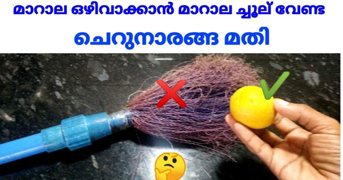 Marala Cleaning Trick Using Lemon