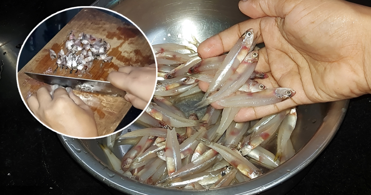 Netholi Fish Cleaning Easy Tip