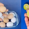 Tip To Identify Real Egg