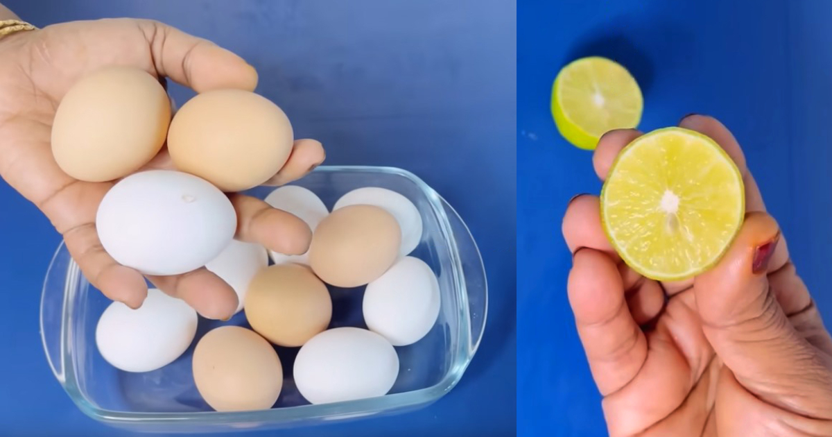 Tip To Identify Real Egg