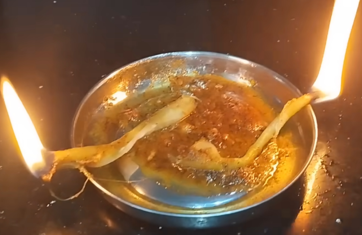 Natural Mosquito Repellent Using Camphor