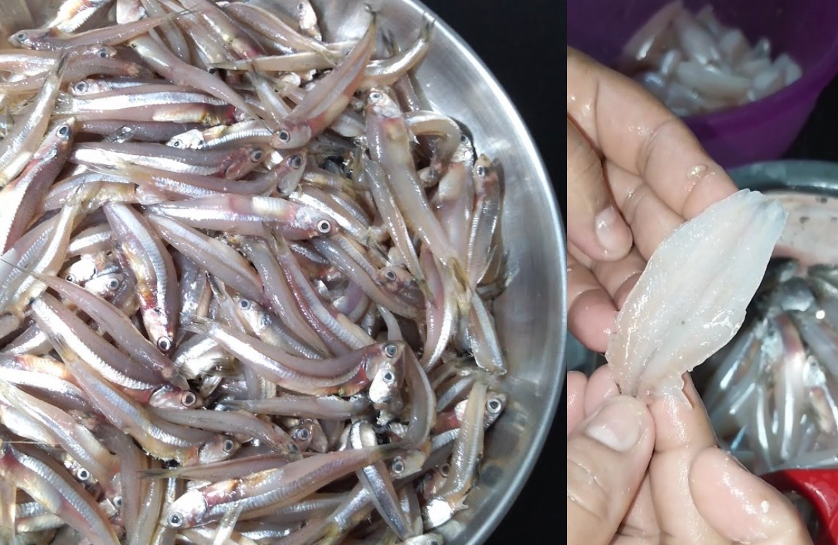 Netholi Fish Easy Cleaning Tip