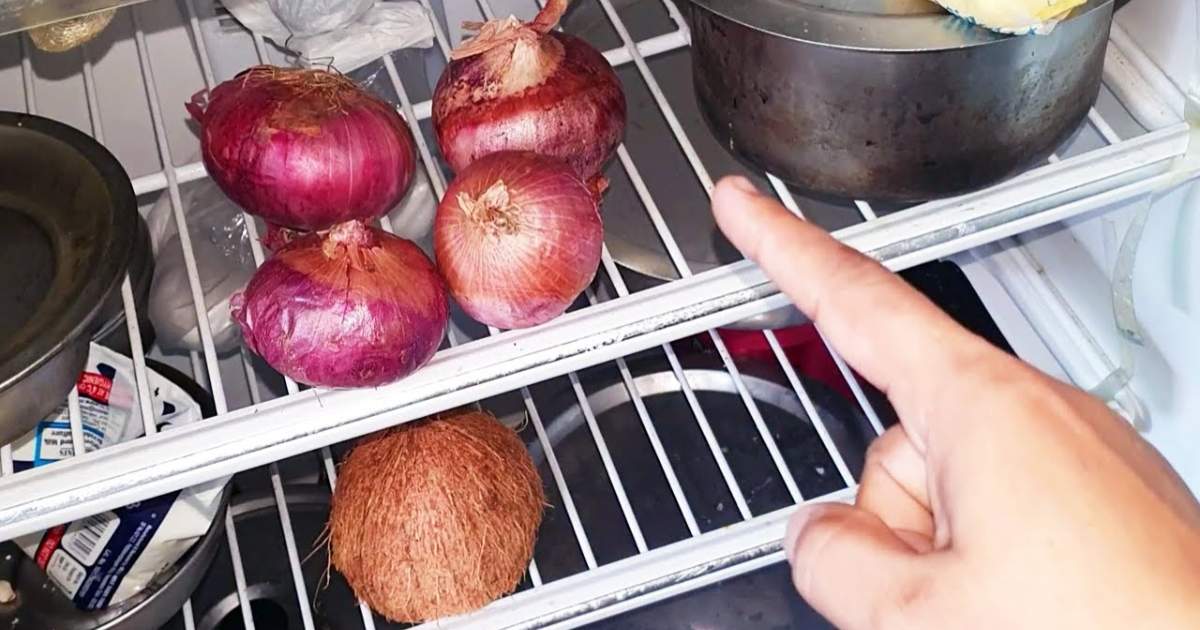 Onion Fridge Tricks