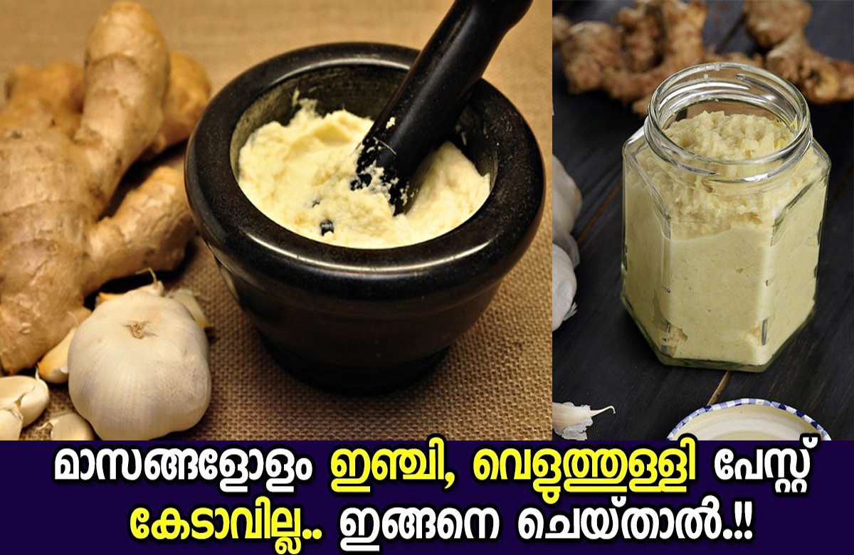 Storing Ginger Garlic Paste For Long