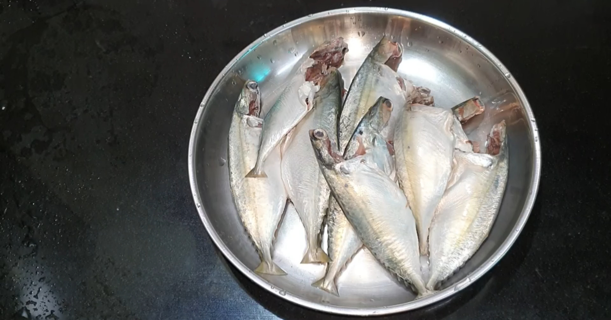 Tip To Store Fish For Long Time