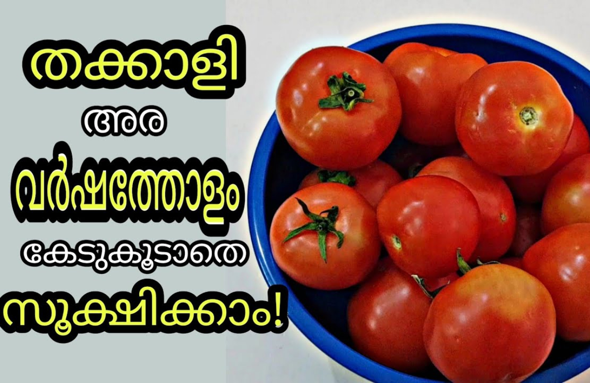 Tip To Store Tomato For Long Time