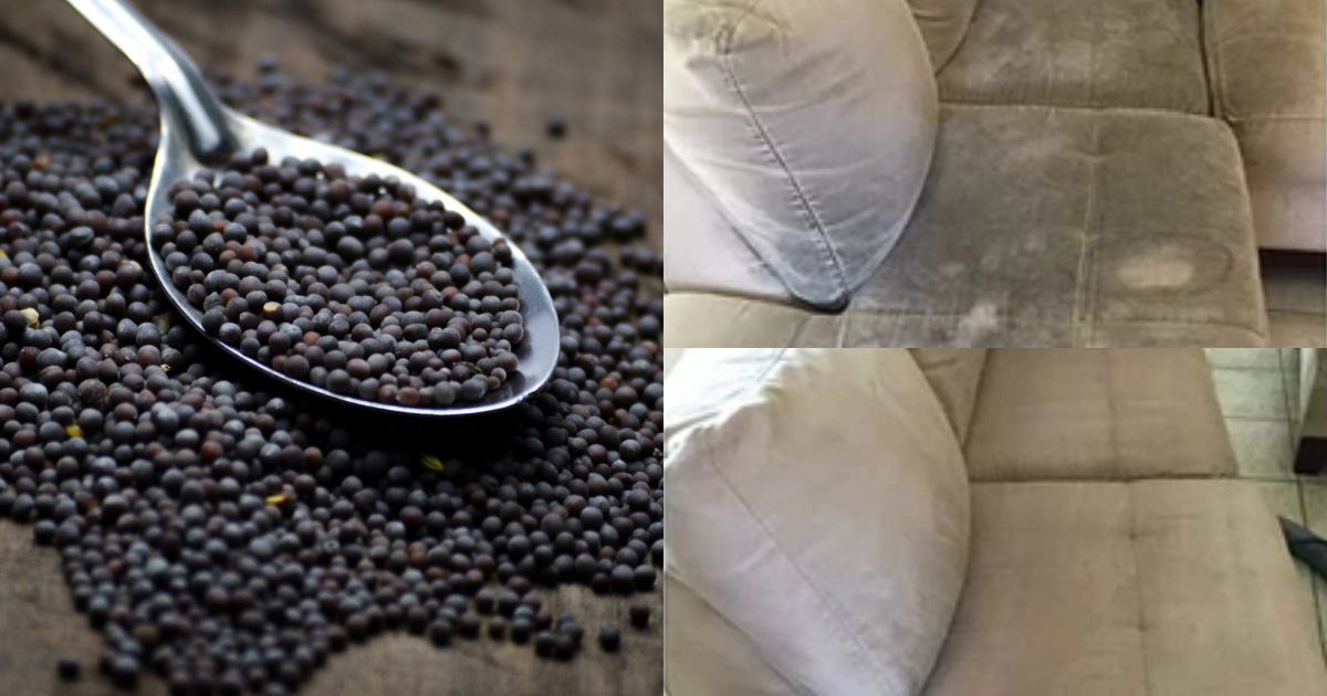 Cleaning Sofa And Bed Using Mustard Seeds