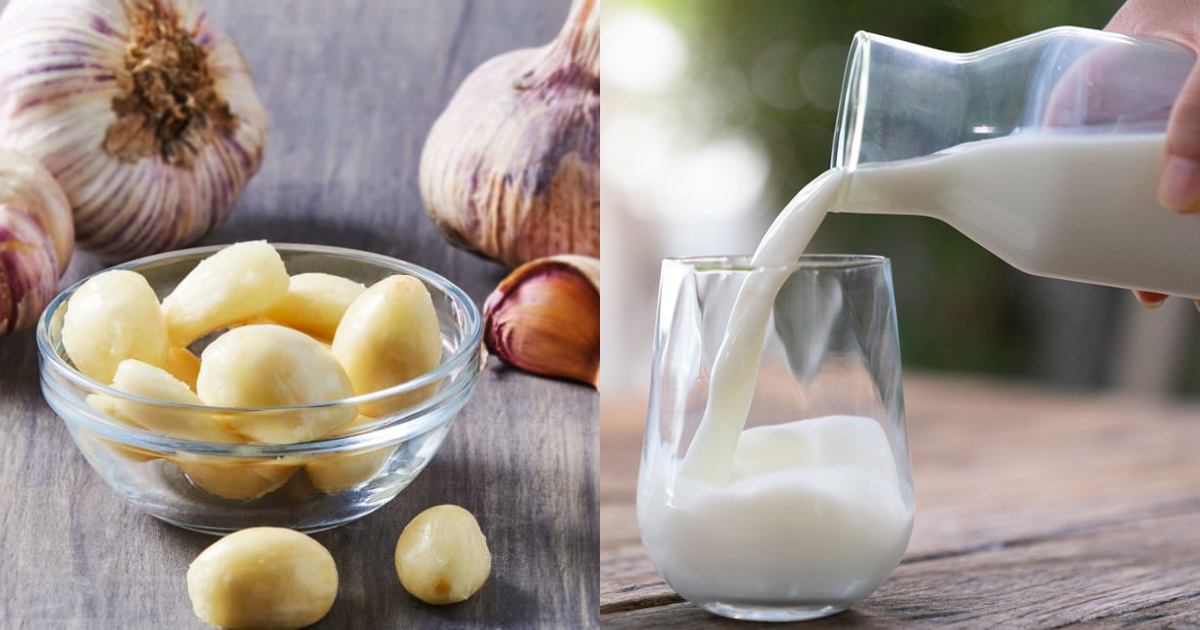 Garlic Milk Health Benefits