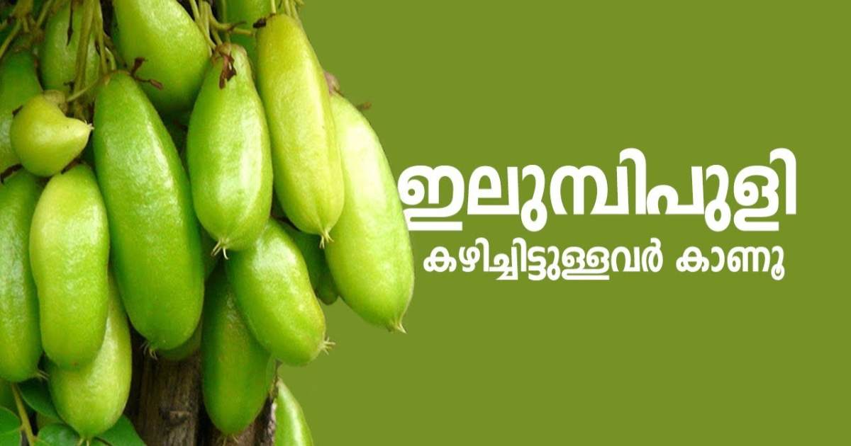 Health Benefits Of Irumbanpuli