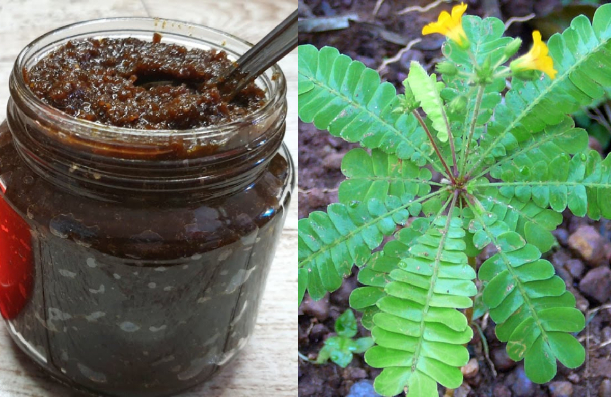 Health Benifits Of Mukkutti Lehyam