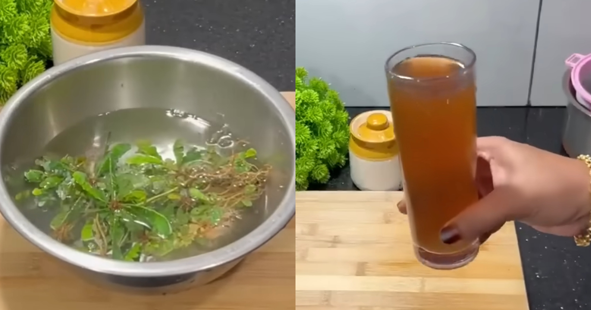 Healthy Benefits Of Mukutti Chedi Drink