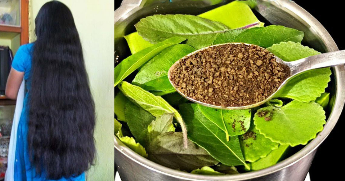 Herbal Tea For Sudden Hair Growth