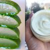 Making Fresh Aloe Vera Gel At Home