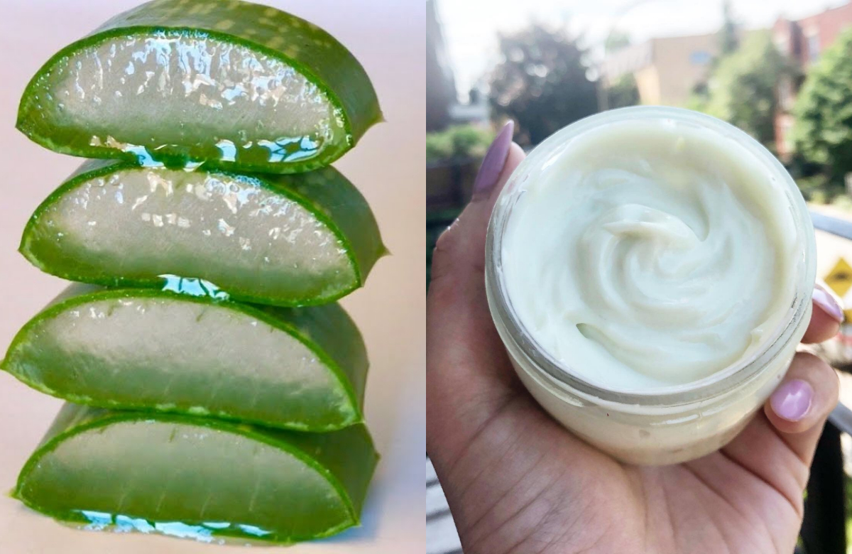 Making Fresh Aloe Vera Gel At Home