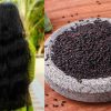 Sesame Seed For Fast Hair Growth