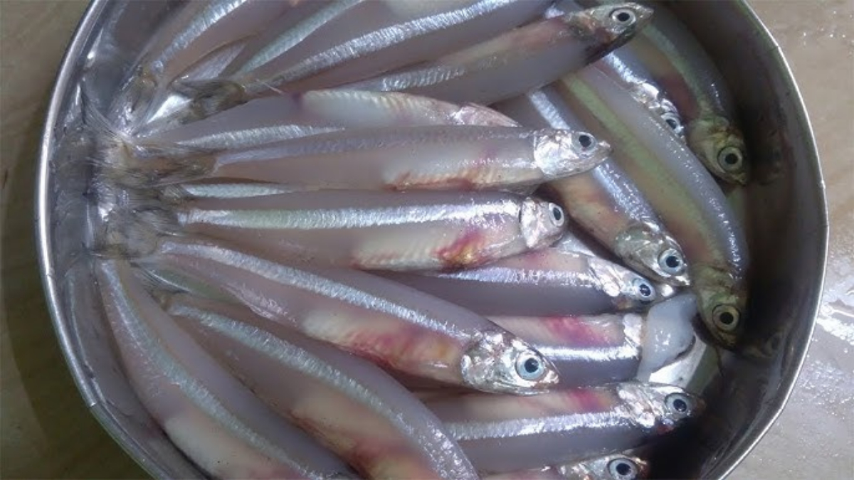Tips To Clean Netholi Fish Easily