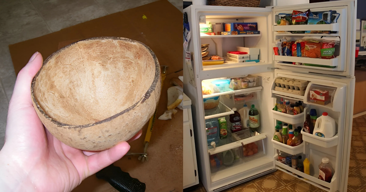 Tips To Reduce Electricity Bill Using Coconut Shell