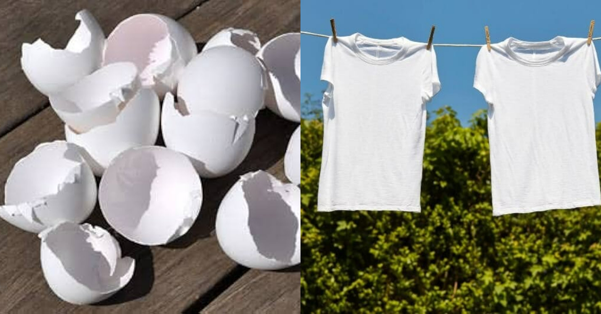 Easy Tip To Dress Whitening Using Egg Shells