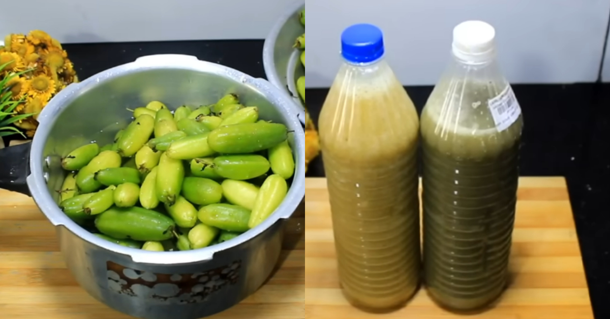 Homemade Dish Wash Liquid Making