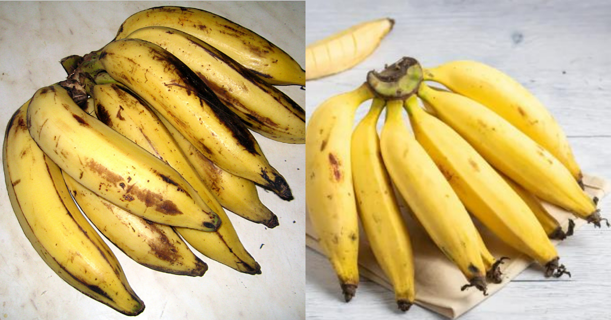Banana Health Benifits