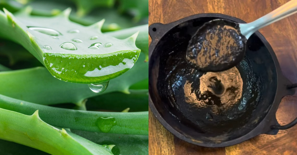 Natural Long Lasting Hair Dye Using Curry Leaves
