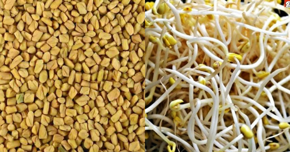 Uluva Mulappichathu Health Benefits