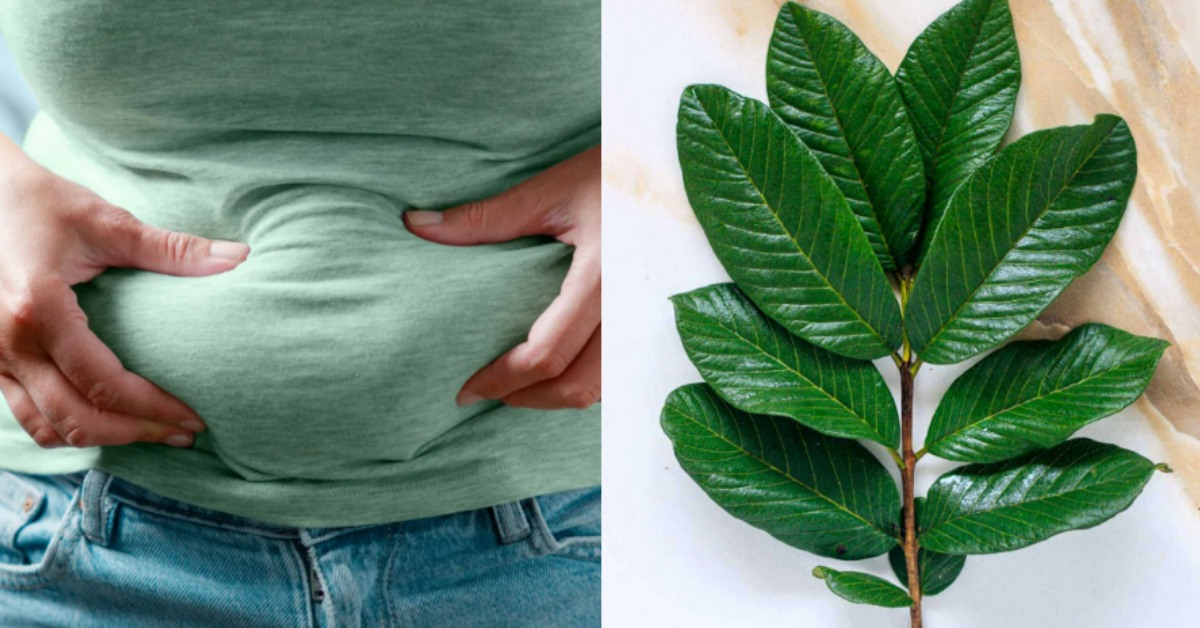 belly fat reducing tips
